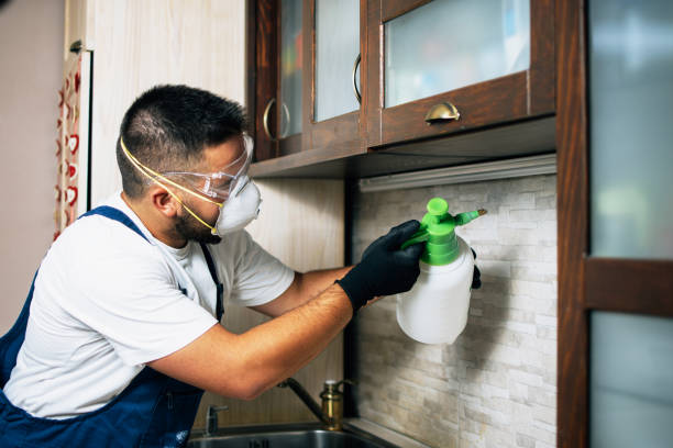 Best Local Pest Control Services  in Tidmore Bend, AL