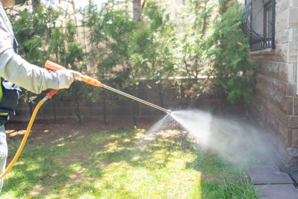 Best Residential Pest Control  in Tidmore Bend, AL