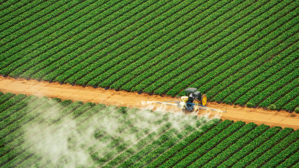 Best Pest Inspection Near Me  in Tidmore Bend, AL