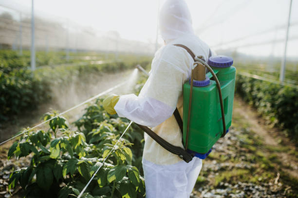Tidmore Bend, AL Pest Control Company